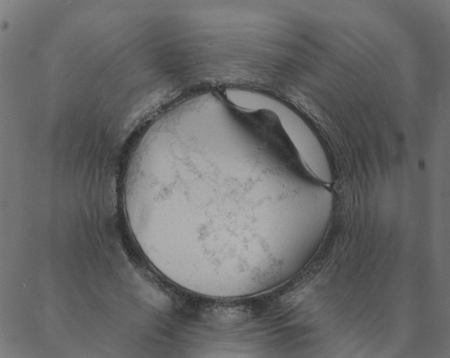 X0000087390638200705181308