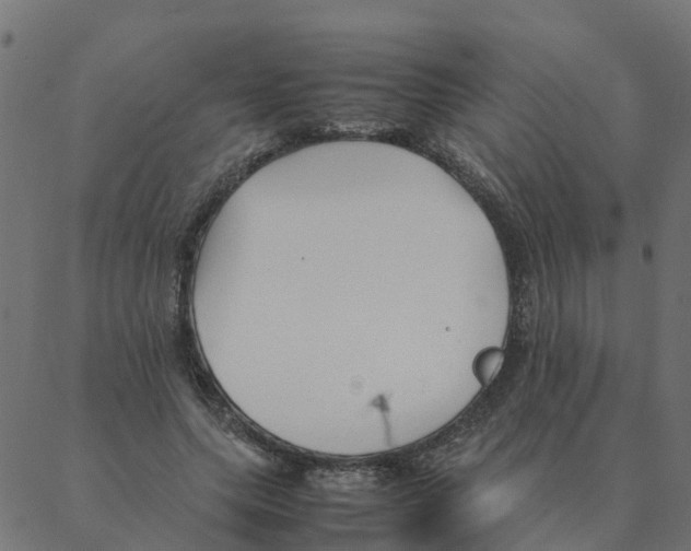 X0000087390639200705181308