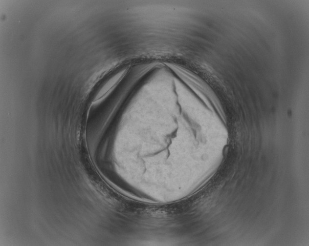 X0000087390640200705181308