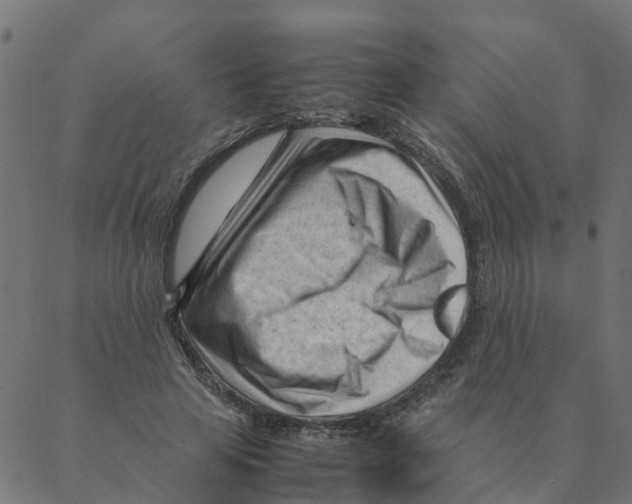 X0000087390641200705181308