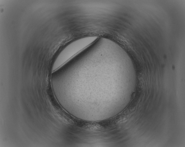 X0000087390642200705181308