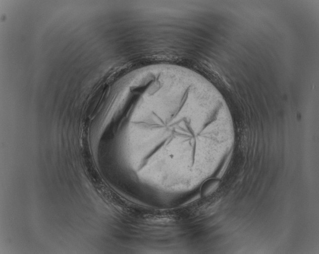 X0000087390643200705181308