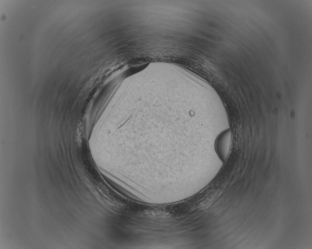 X0000087390644200705181308