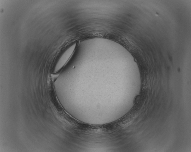 X0000087390646200705181308