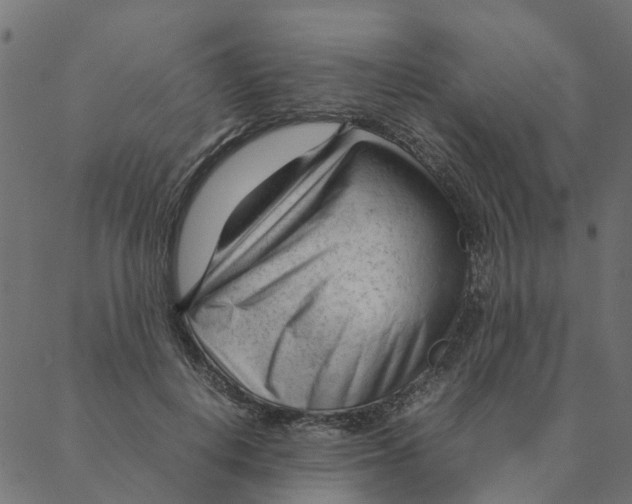 X0000087390648200705181308