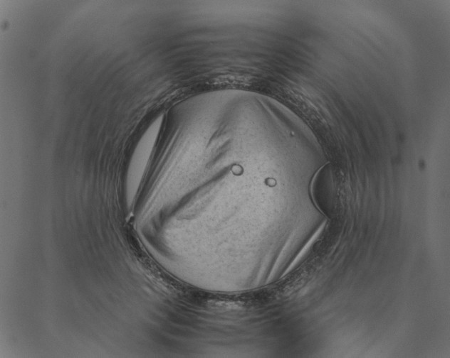 X0000087390649200705181308