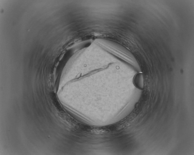 X0000087390650200705181308