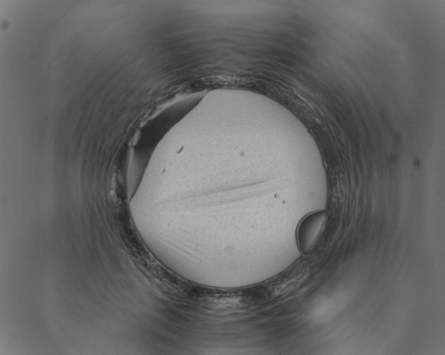 X0000087390651200705181308