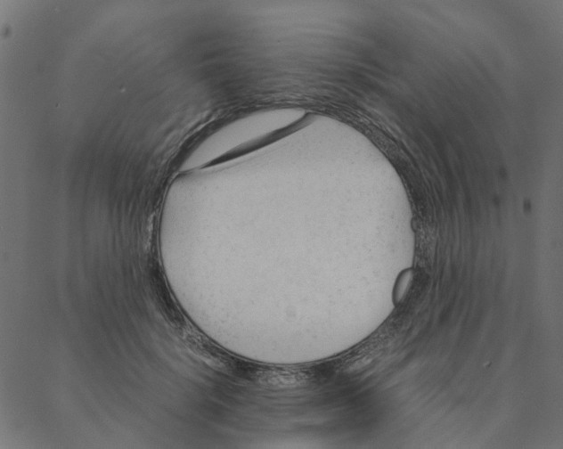 X0000087390652200705181308