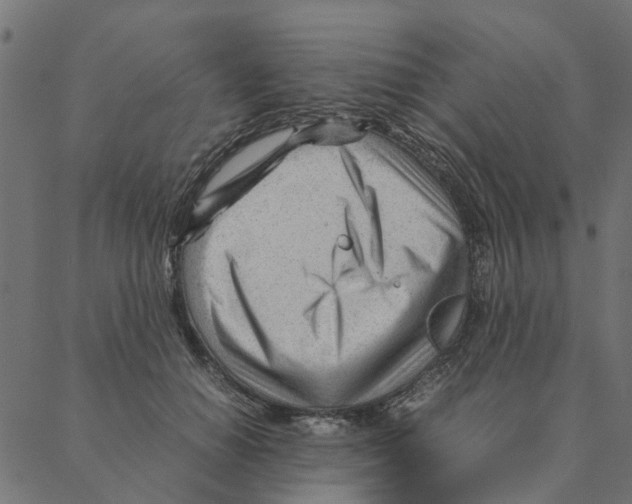 X0000087390654200705181308