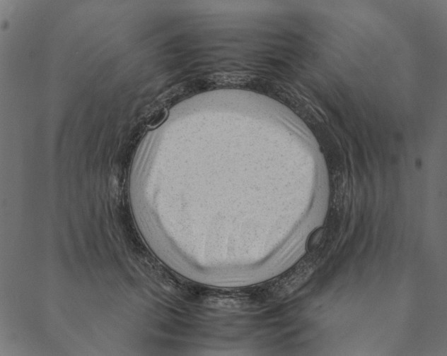 X0000087390655200705181308