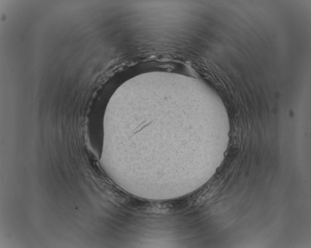 X0000087390656200705181308