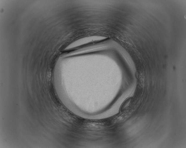 X0000087390657200705181308