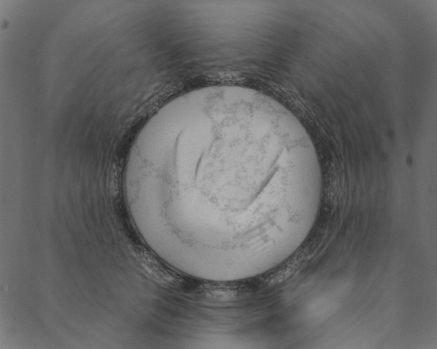 X0000087390658200705181308