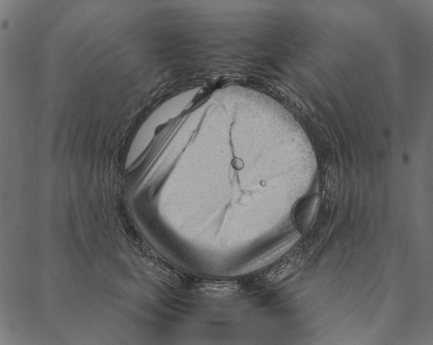 X0000087390659200705181308