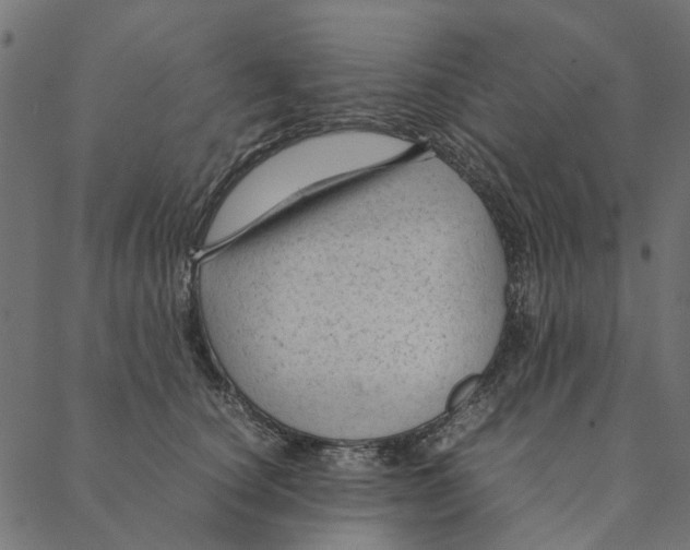 X0000087390660200705181308