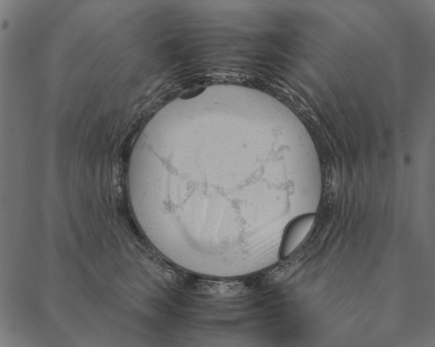 X0000087390663200705181308