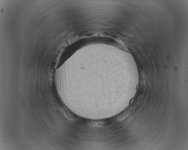 X0000087390664200705181308