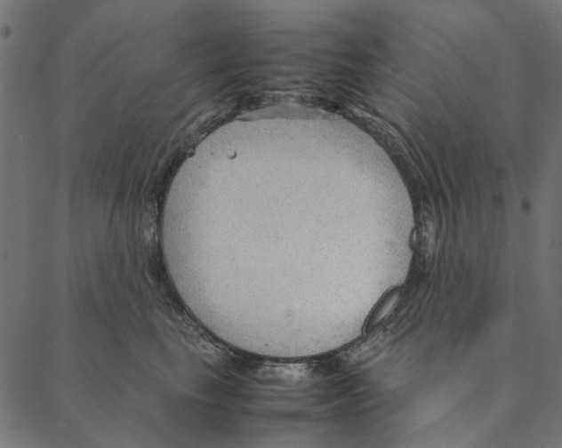 X0000087390665200705181308