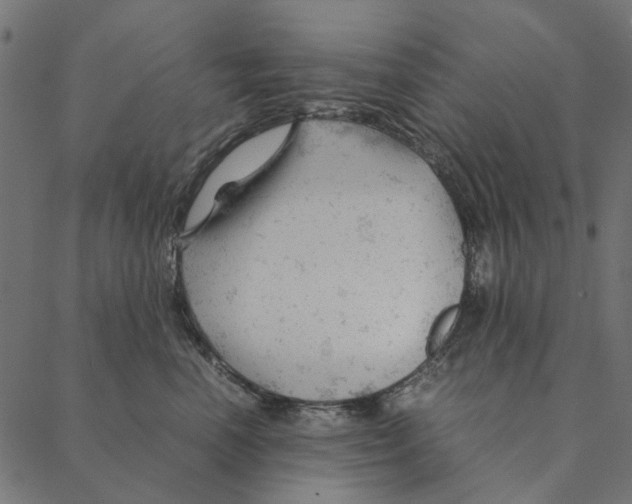 X0000087390666200705181309