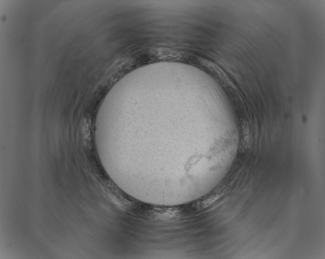 X0000087390667200705181309