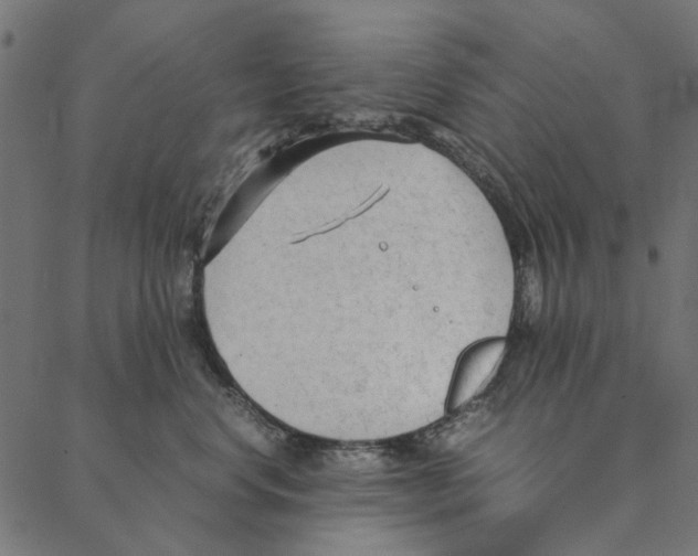 X0000087390668200705181309