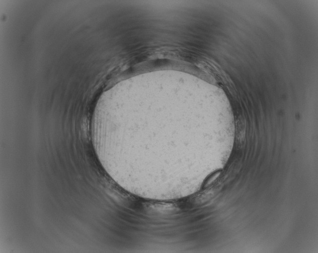 X0000087390669200705181309