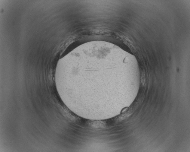 X0000087390670200705181309