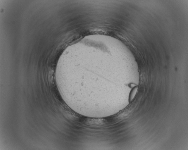 X0000087390671200705181309