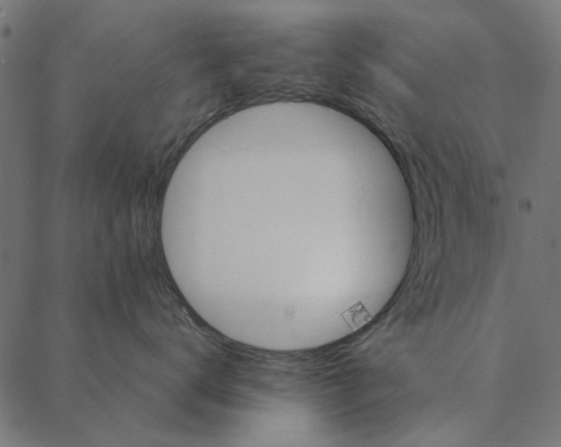 X0000087390672200705181309