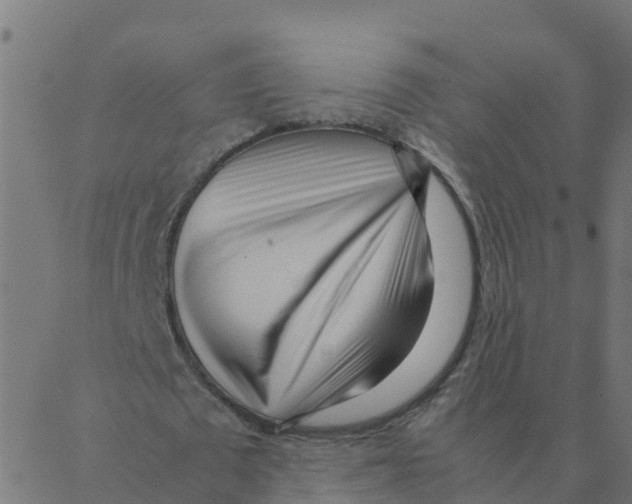 X0000087390673200705181308