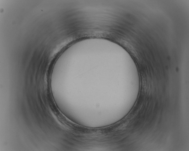 X0000087390674200705181308