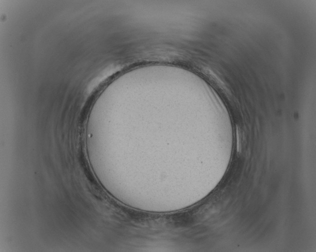 X0000087390675200705181308