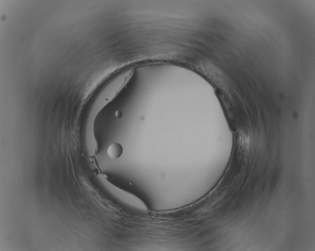 X0000087390676200705181308