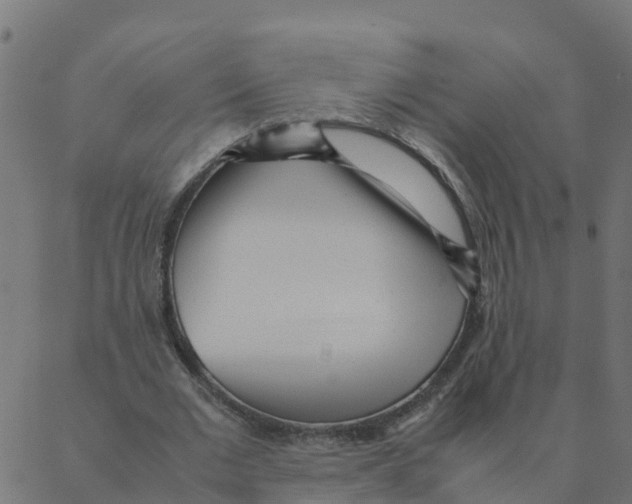 X0000087390677200705181308