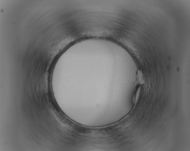 X0000087390678200705181308