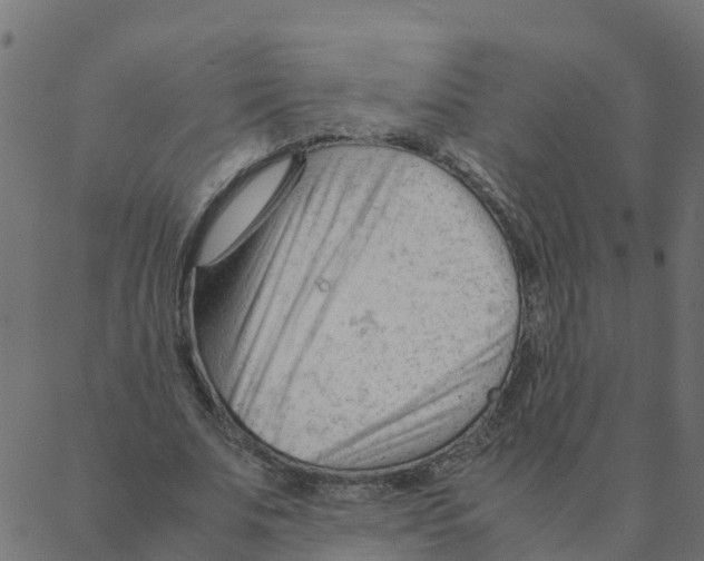 X0000087390679200705181308