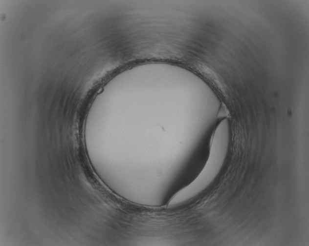 X0000087390680200705181308