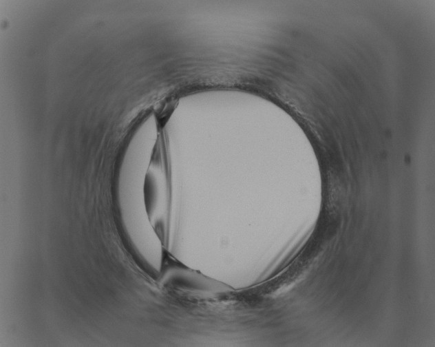 X0000087390681200705181308