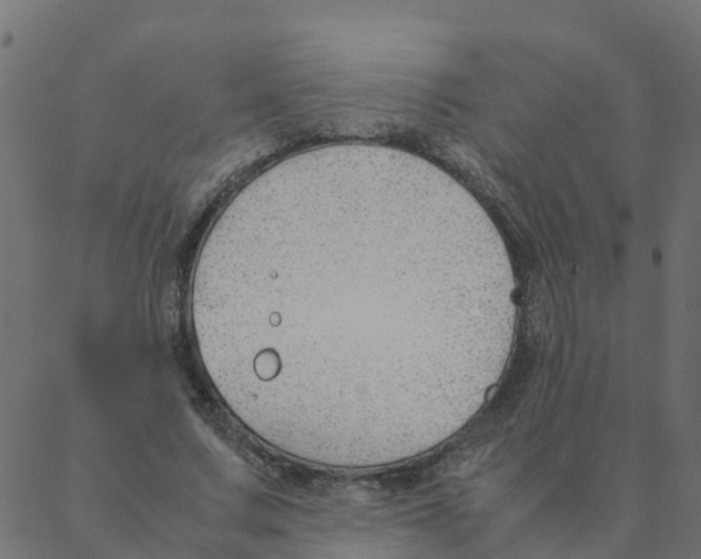 X0000087390683200705181308