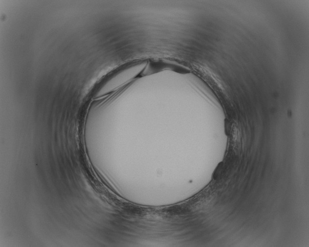 X0000087390684200705181308