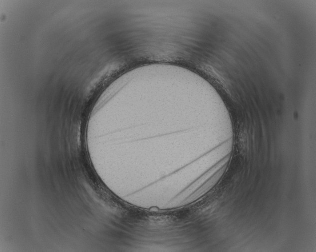 X0000087390686200705181308