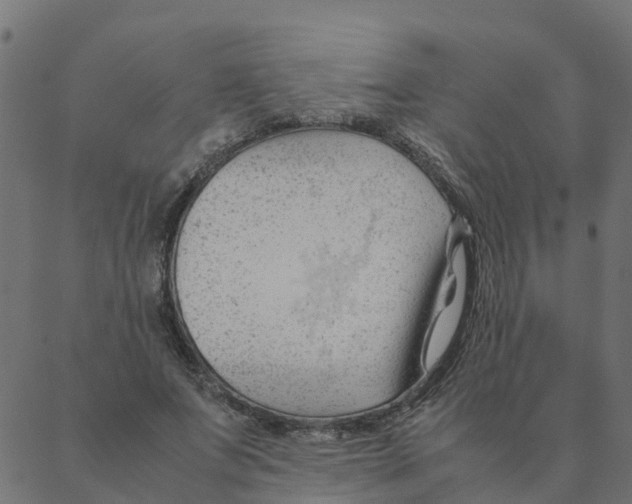 X0000087390687200705181308