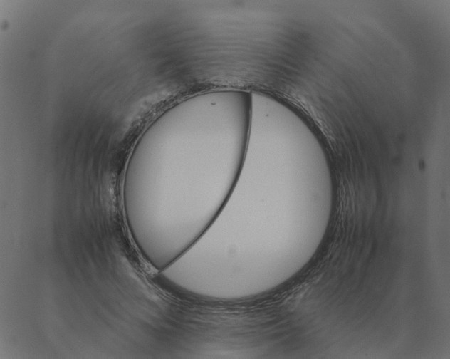 X0000087390688200705181308