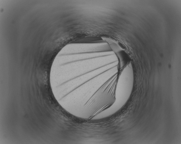 X0000087390689200705181308