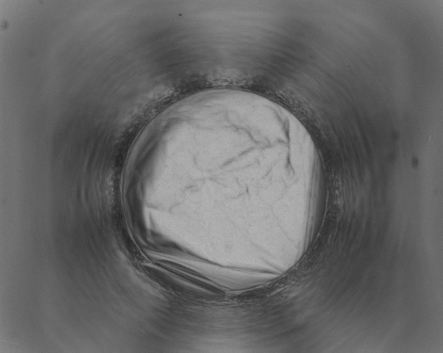 X0000087390690200705181308