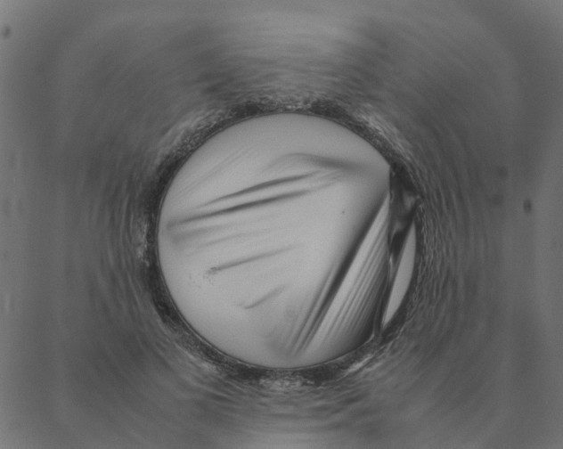 X0000087390693200705181308