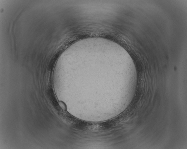 X0000087390695200705181307