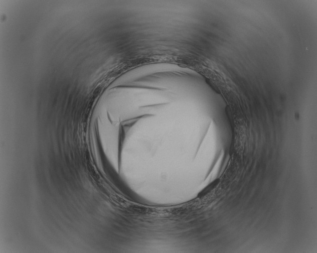 X0000087390696200705181307