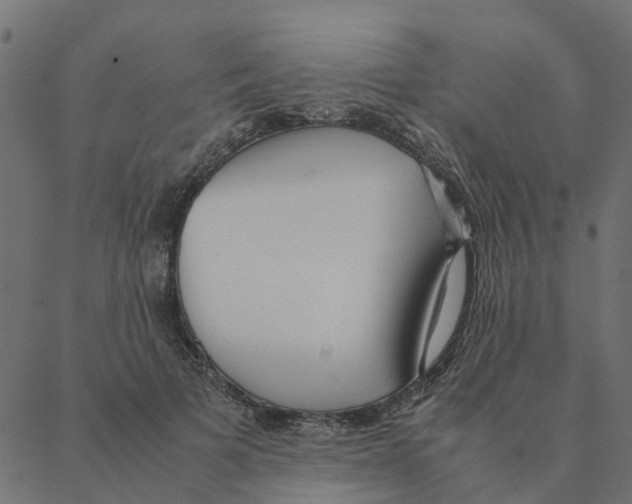 X0000087390697200705181307